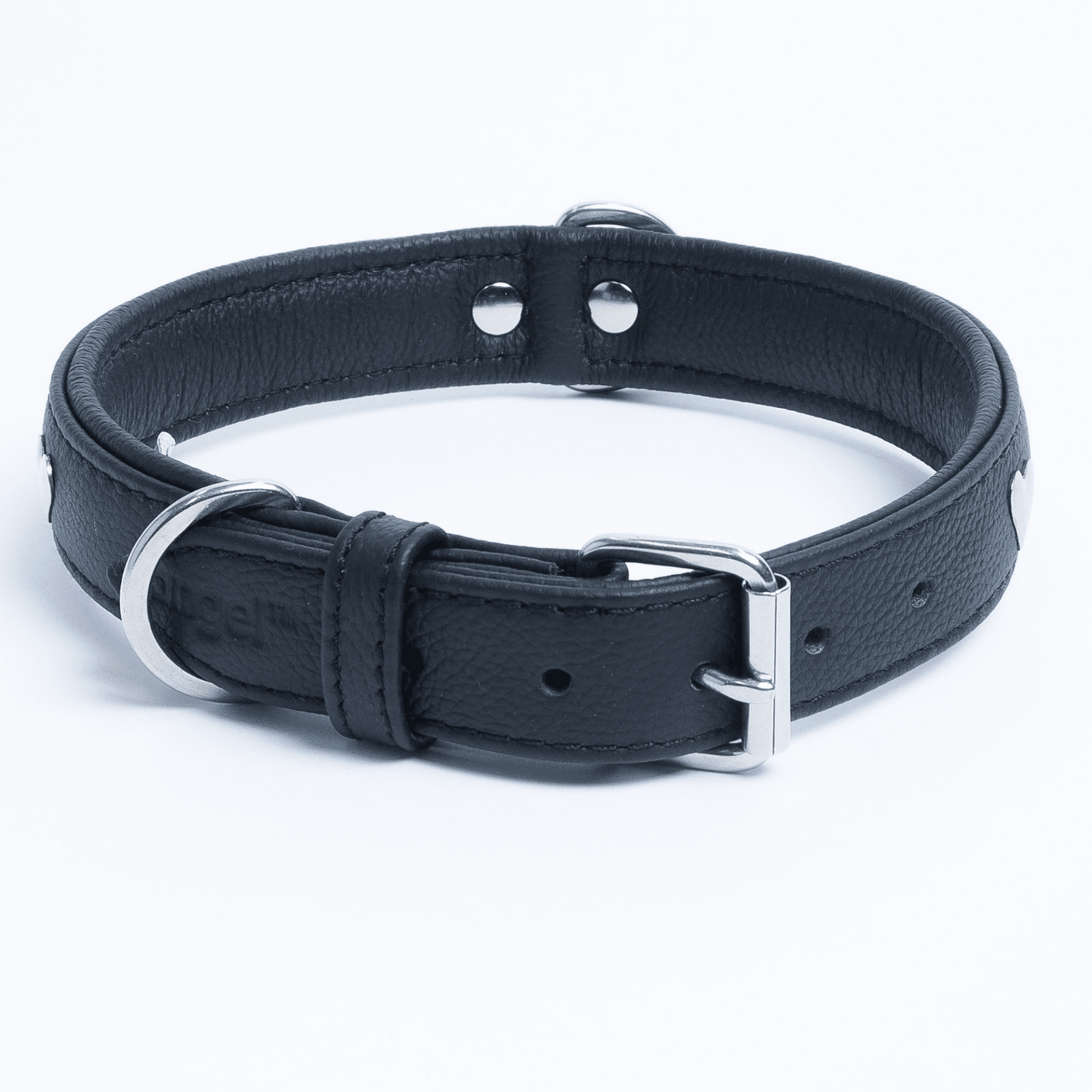 Rotterdam Hearts Dog Collar: Make a Statement with Style and Love