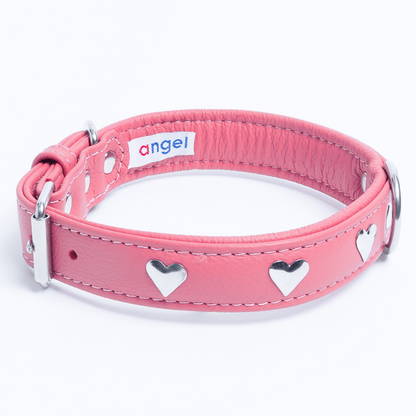 Rotterdam Hearts Dog Collar: Make a Statement with Style and Love