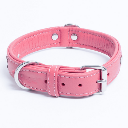 Rotterdam Hearts Dog Collar: Make a Statement with Style and Love