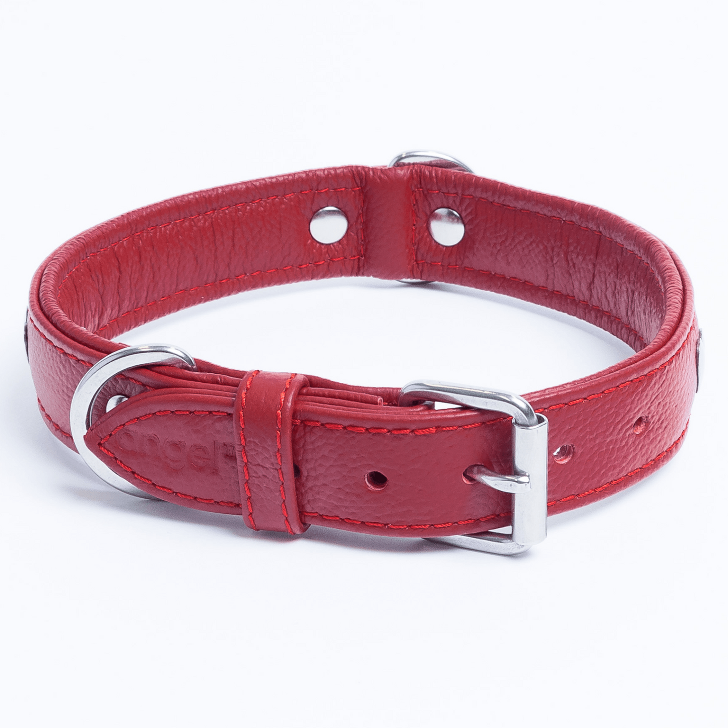 Rotterdam Hearts Dog Collar: Make a Statement with Style and Love