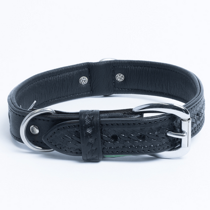 Santa Fe Dog Collar: Elegance and Strength in Every Detail