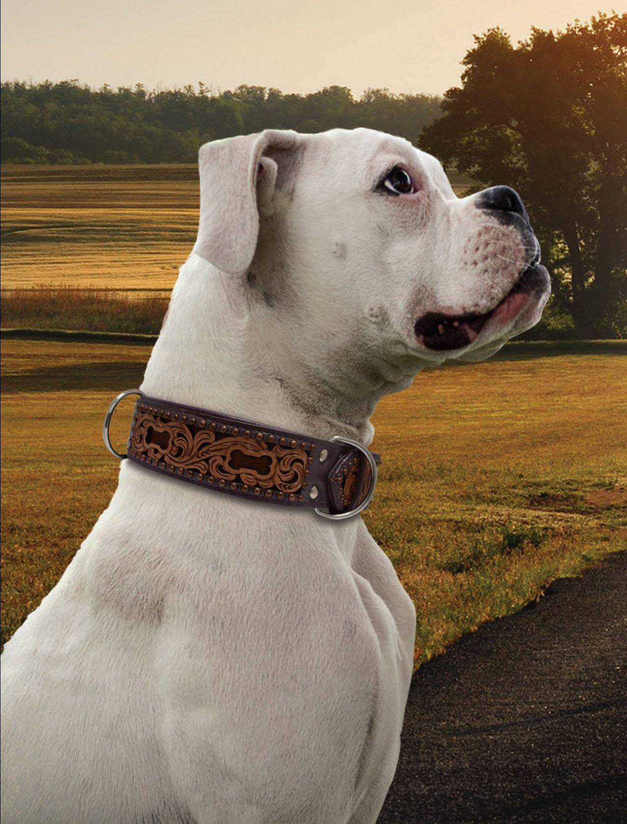 San Antonio Dog Collar: Unleash Unique Style and Quality Craftsmanship