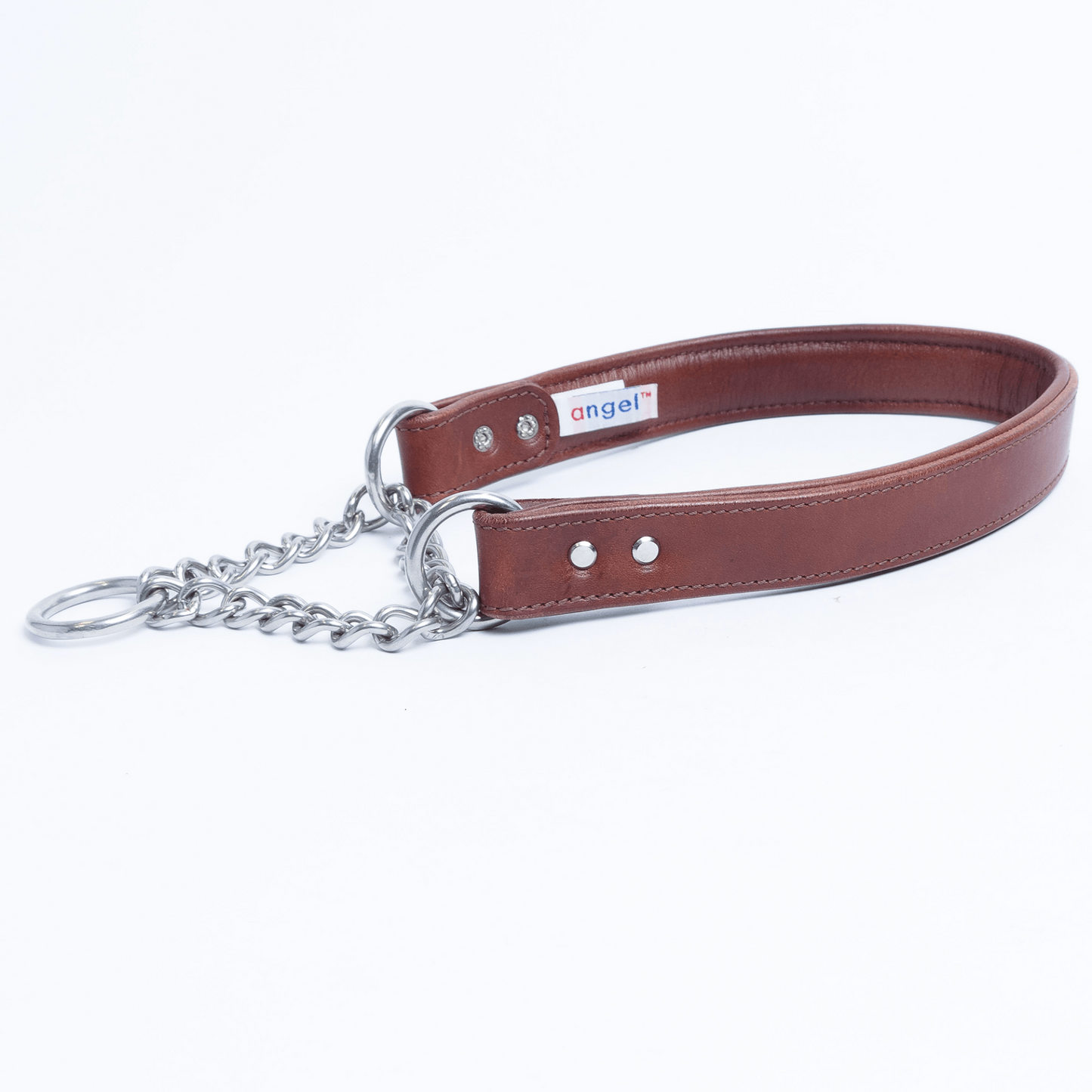 Rio Martingale Dog Collar