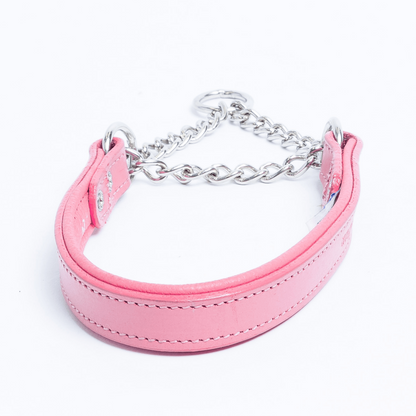 Rio Martingale Dog Collar