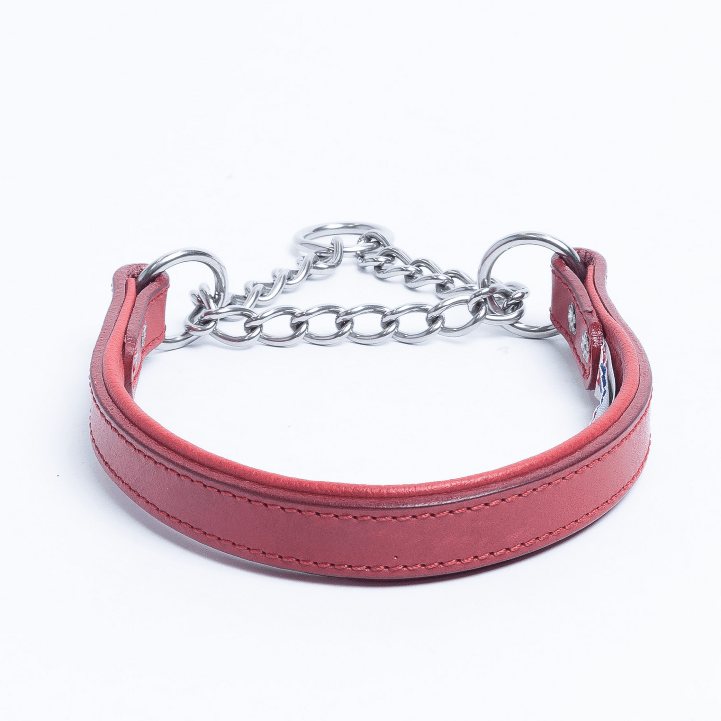 Rio Martingale Dog Collar