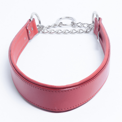 Rio Martingale Dog Collar