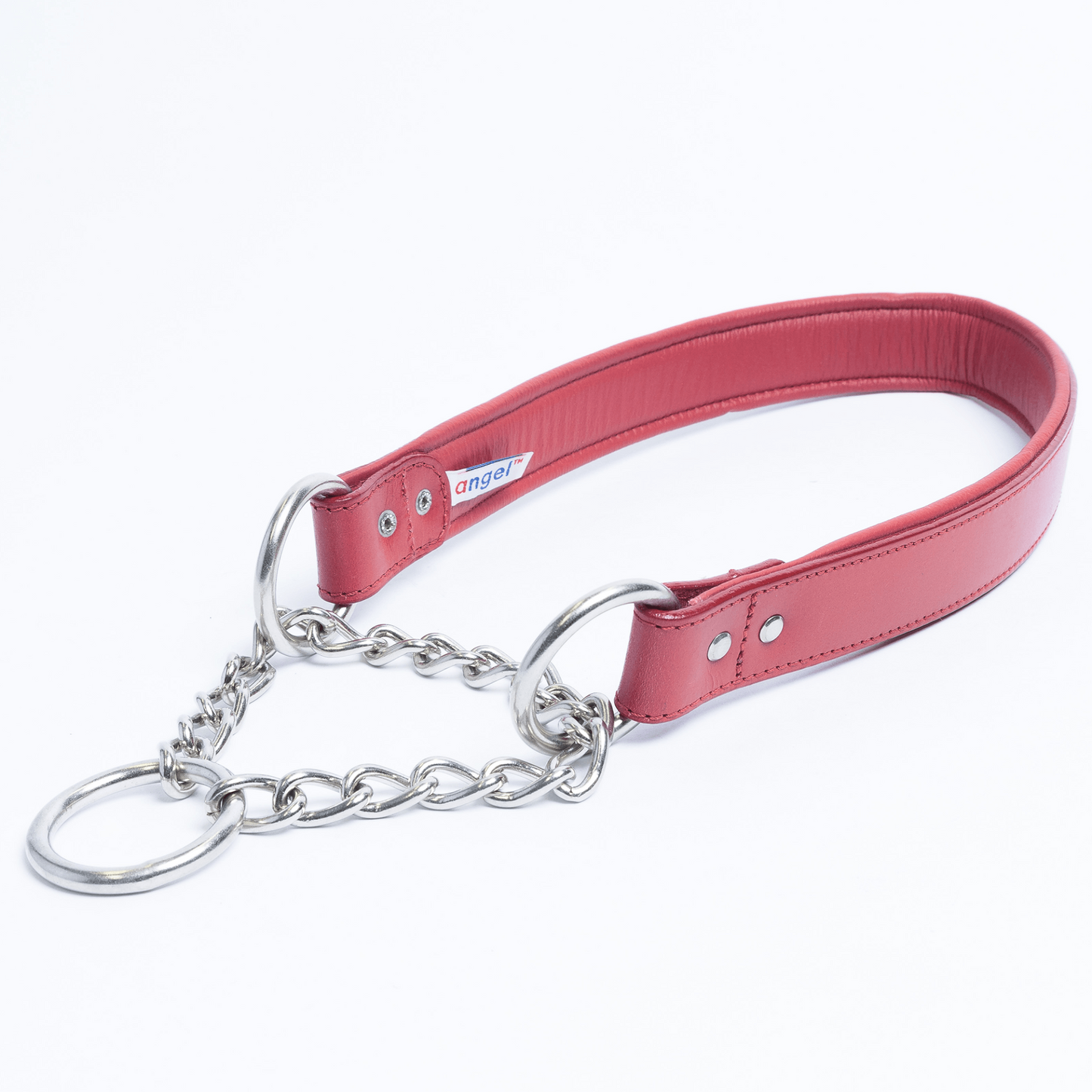 Rio Martingale Dog Collar