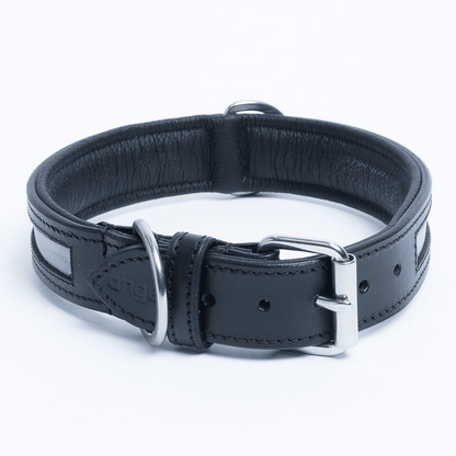 New York Reflective Dog Collar: Safety and Comfort Combined