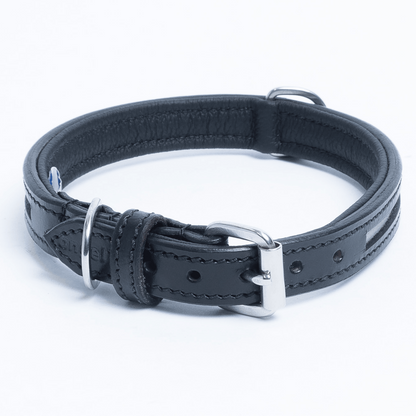 New York Reflective Dog Collar: Safety and Comfort Combined