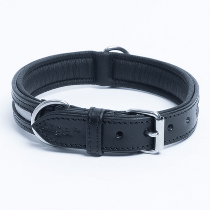 New York Reflective Dog Collar: Safety and Comfort Combined