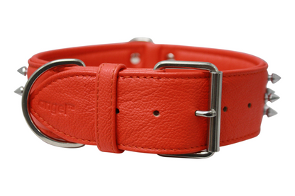 Amsterdam Spiked Dog Collars: Elevate Your Dog's Style