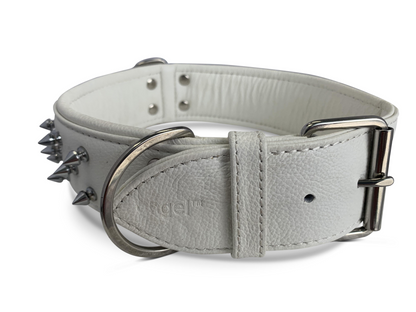 Amsterdam Spiked Dog Collars: Elevate Your Dog's Style