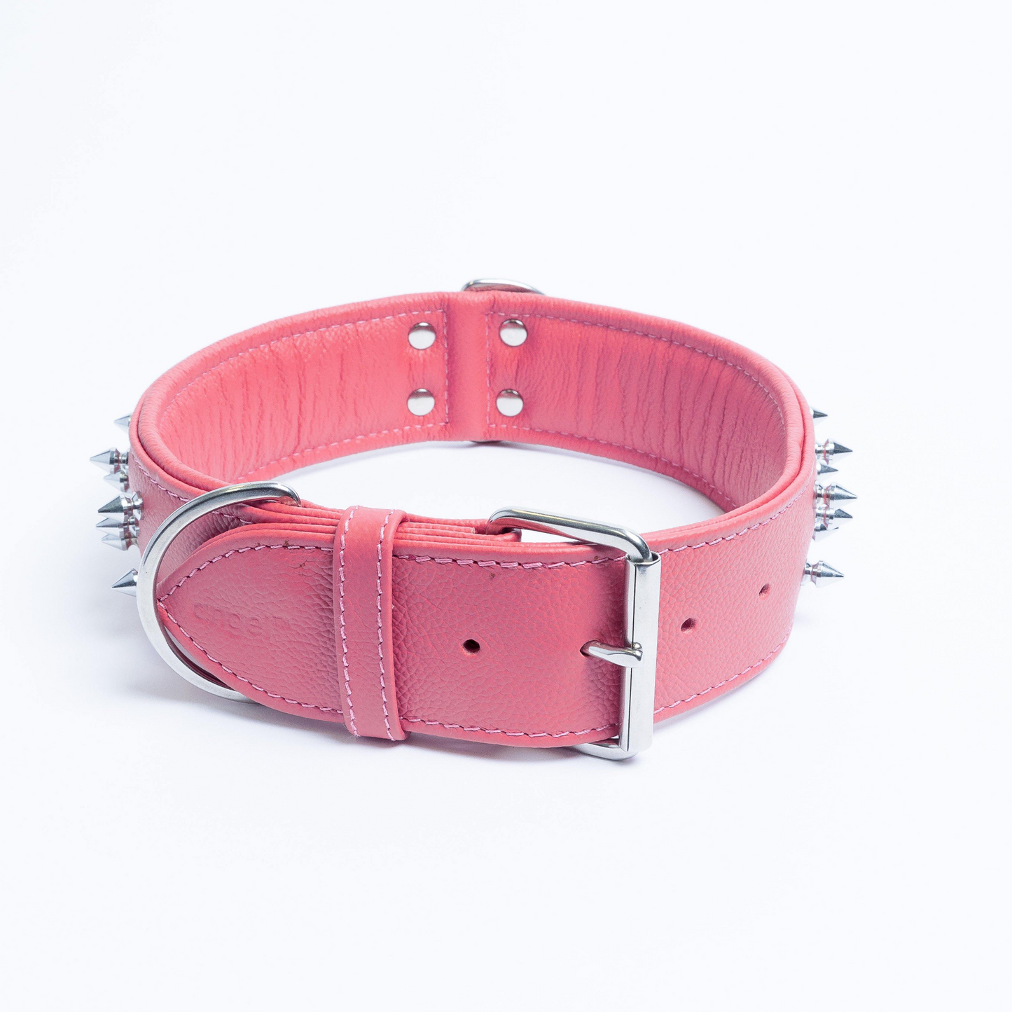 Amsterdam Spiked Dog Collars: Elevate Your Dog's Style