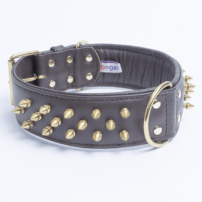 Amsterdam Spiked Dog Collars: Elevate Your Dog's Style