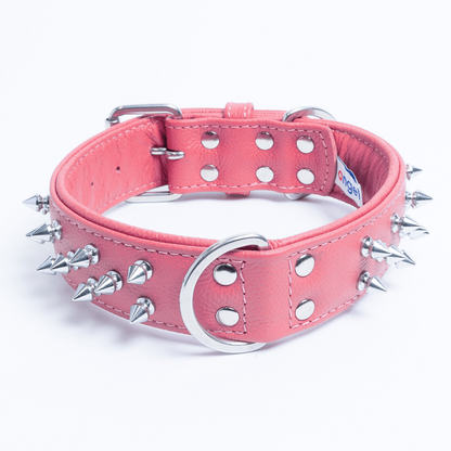 Amsterdam Spiked Dog Collars: Elevate Your Dog's Style