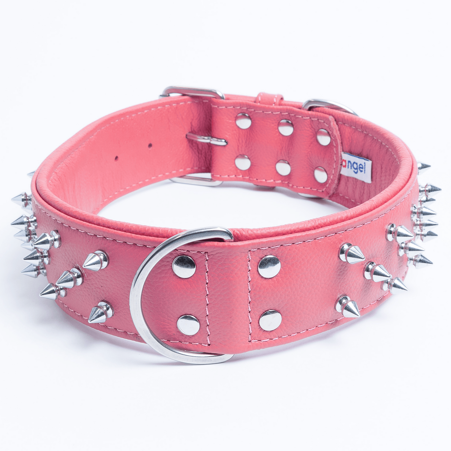 Amsterdam Spiked Dog Collars: Elevate Your Dog's Style