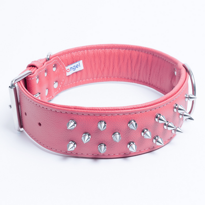 Amsterdam Spiked Dog Collars: Elevate Your Dog's Style