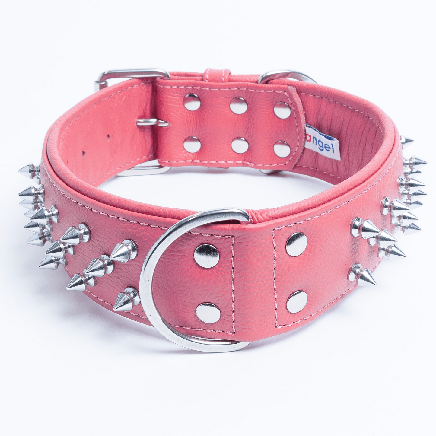 Amsterdam Spiked Dog Collars: Elevate Your Dog's Style