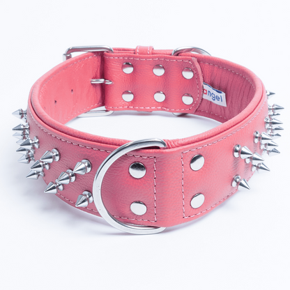 Amsterdam Spiked Dog Collars: Elevate Your Dog's Style