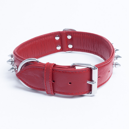 Amsterdam Spiked Dog Collars: Elevate Your Dog's Style