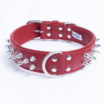 Amsterdam Spiked Dog Collars: Elevate Your Dog's Style