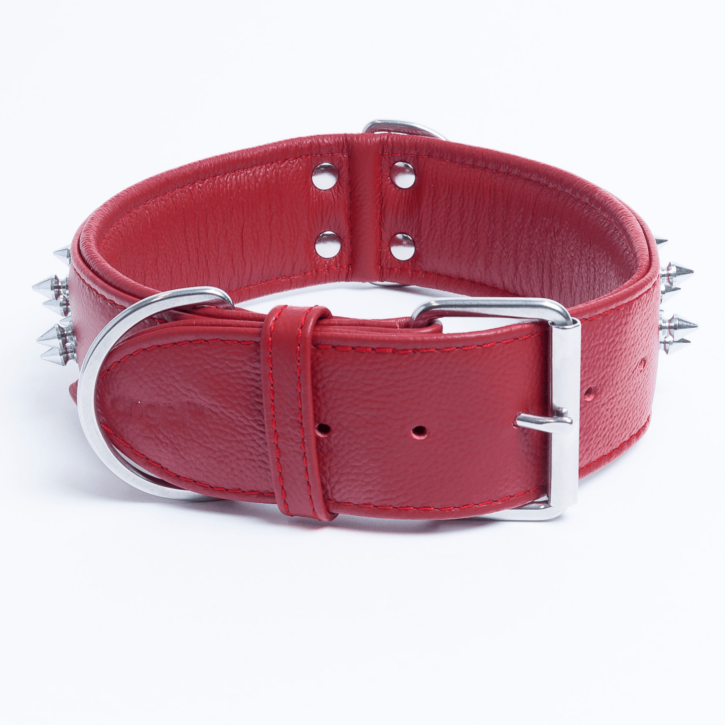 Amsterdam Spiked Dog Collars: Elevate Your Dog's Style