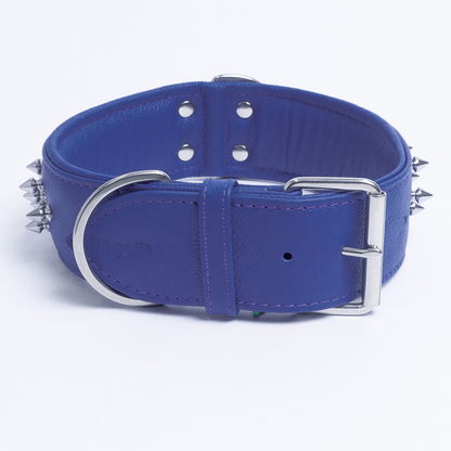 Amsterdam Spiked Dog Collars: Elevate Your Dog's Style