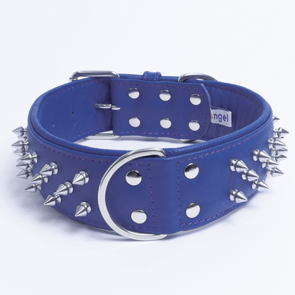 Amsterdam Spiked Dog Collars: Elevate Your Dog's Style