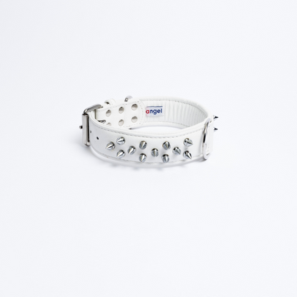 Amsterdam Spiked Dog Collars: Elevate Your Dog's Style