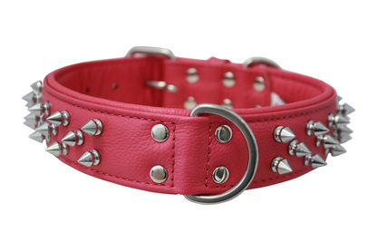 Amsterdam Spiked Dog Collars: Elevate Your Dog's Style