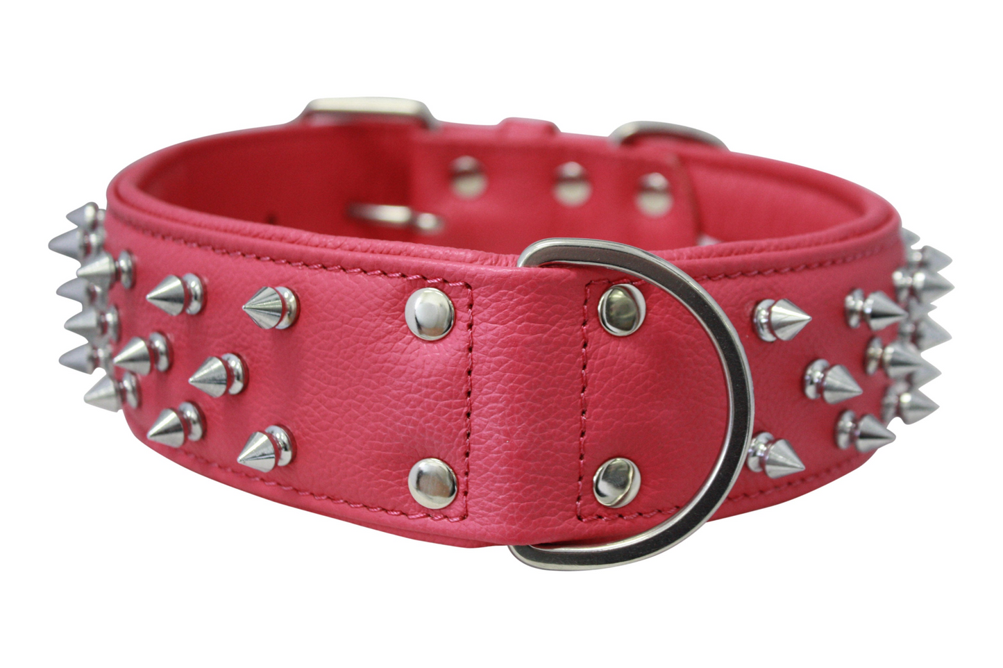 Amsterdam Spiked Dog Collars: Elevate Your Dog's Style