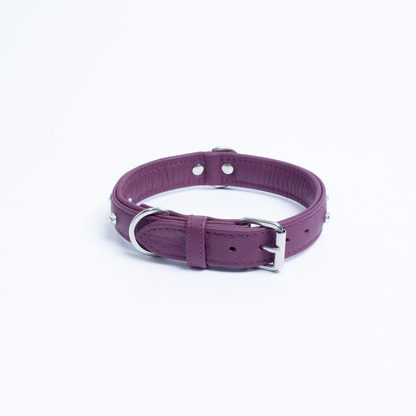 Athens Dog Collar (Pink | Purple): Make Your Dog Shine in Style