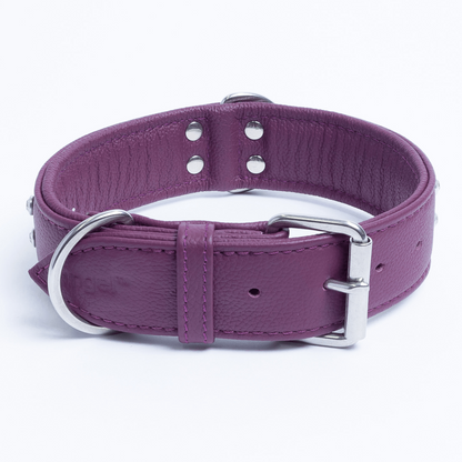 Athens Dog Collar (Pink | Purple): Make Your Dog Shine in Style