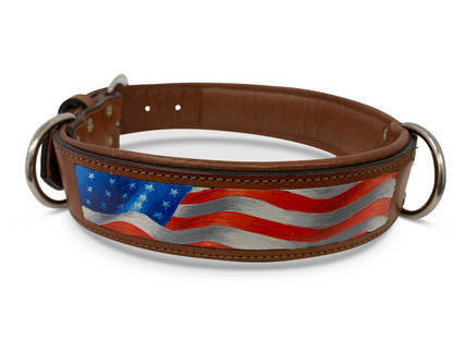 Stars & Stripes Dog Collar: Show Your Patriotism in Style