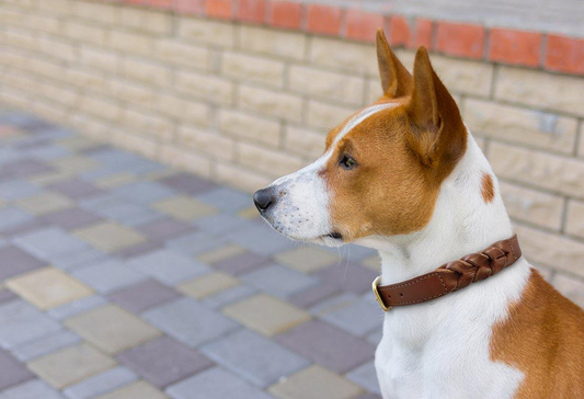 Collar trenzado