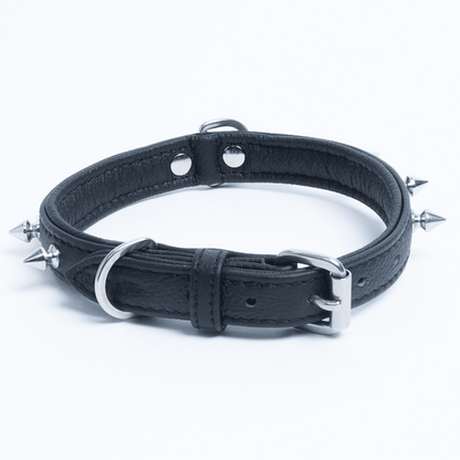 Rotterdam Spiked Dog Collar: Make a Bold Statement with Attitude