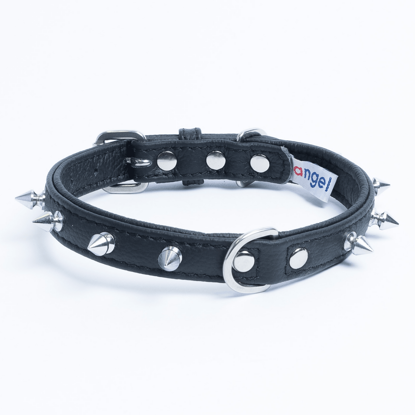 Rotterdam Spiked Dog Collar: Make a Bold Statement with Attitude