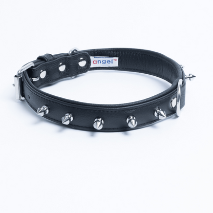 Rotterdam Spiked Dog Collar: Make a Bold Statement with Attitude