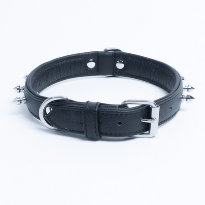 Rotterdam Spiked Dog Collar: Make a Bold Statement with Attitude