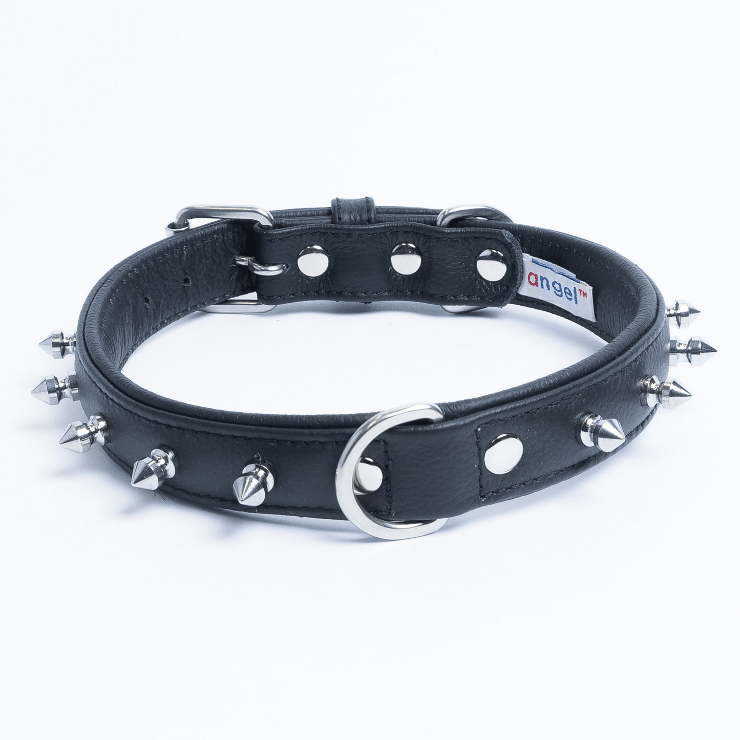 Rotterdam Spiked Dog Collar: Make a Bold Statement with Attitude