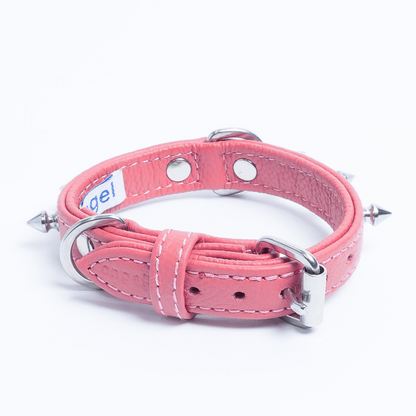 Rotterdam Spiked Dog Collar: Make a Bold Statement with Attitude