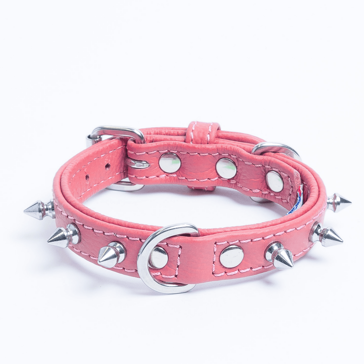 Rotterdam Spiked Dog Collar: Make a Bold Statement with Attitude