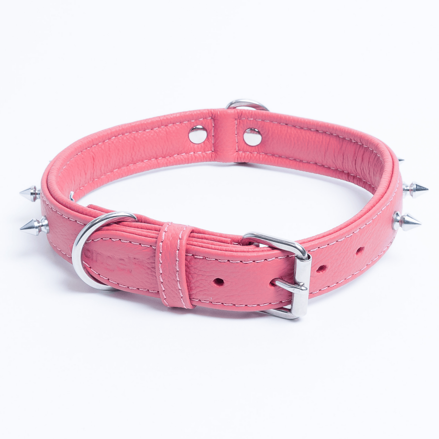 Rotterdam Spiked Dog Collar: Make a Bold Statement with Attitude