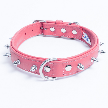 Rotterdam Spiked Dog Collar: Make a Bold Statement with Attitude