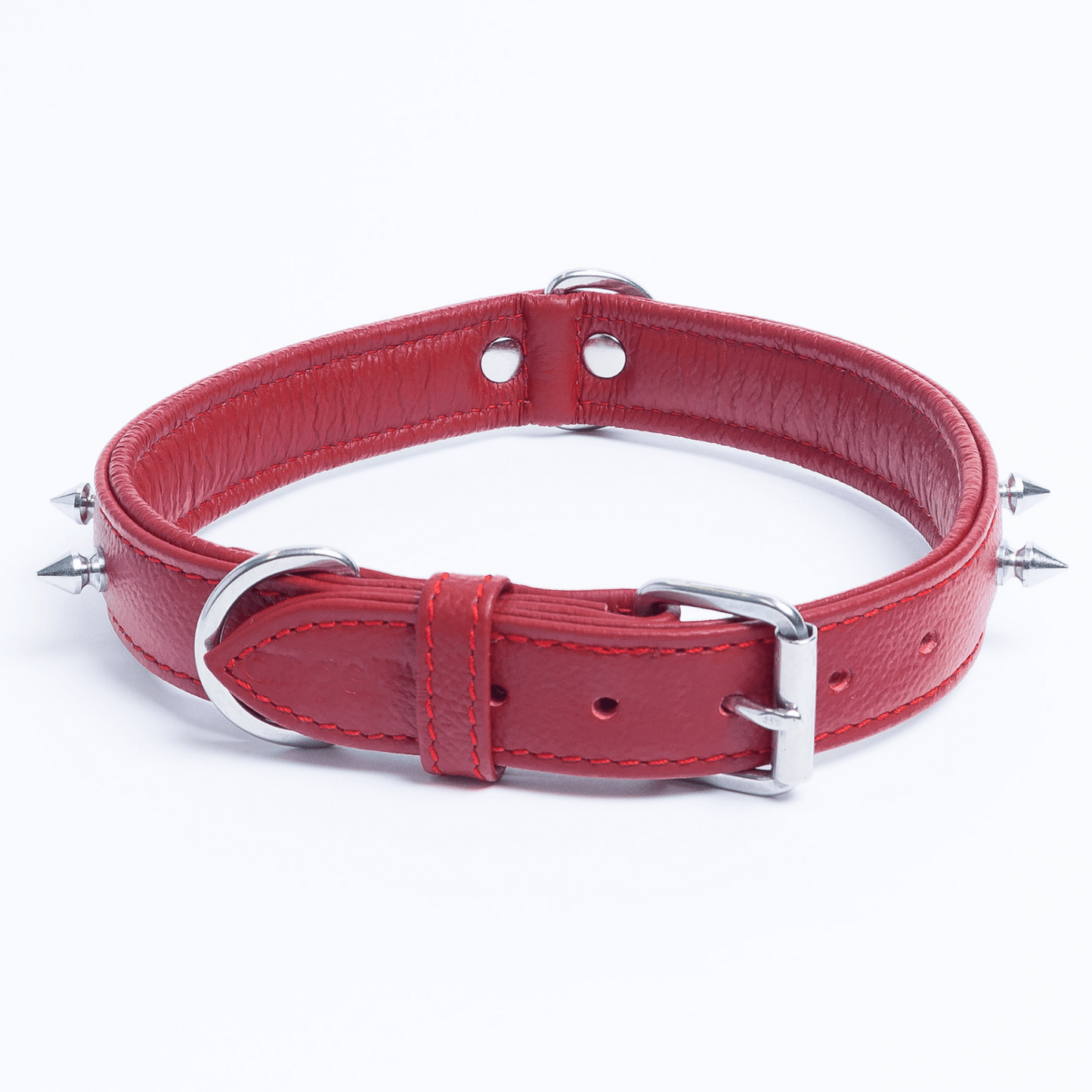 Rotterdam Spiked Dog Collar: Make a Bold Statement with Attitude