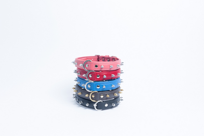 Rotterdam Spiked Dog Collar: Make a Bold Statement with Attitude