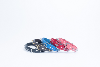 Rotterdam Spiked Dog Collar: Make a Bold Statement with Attitude