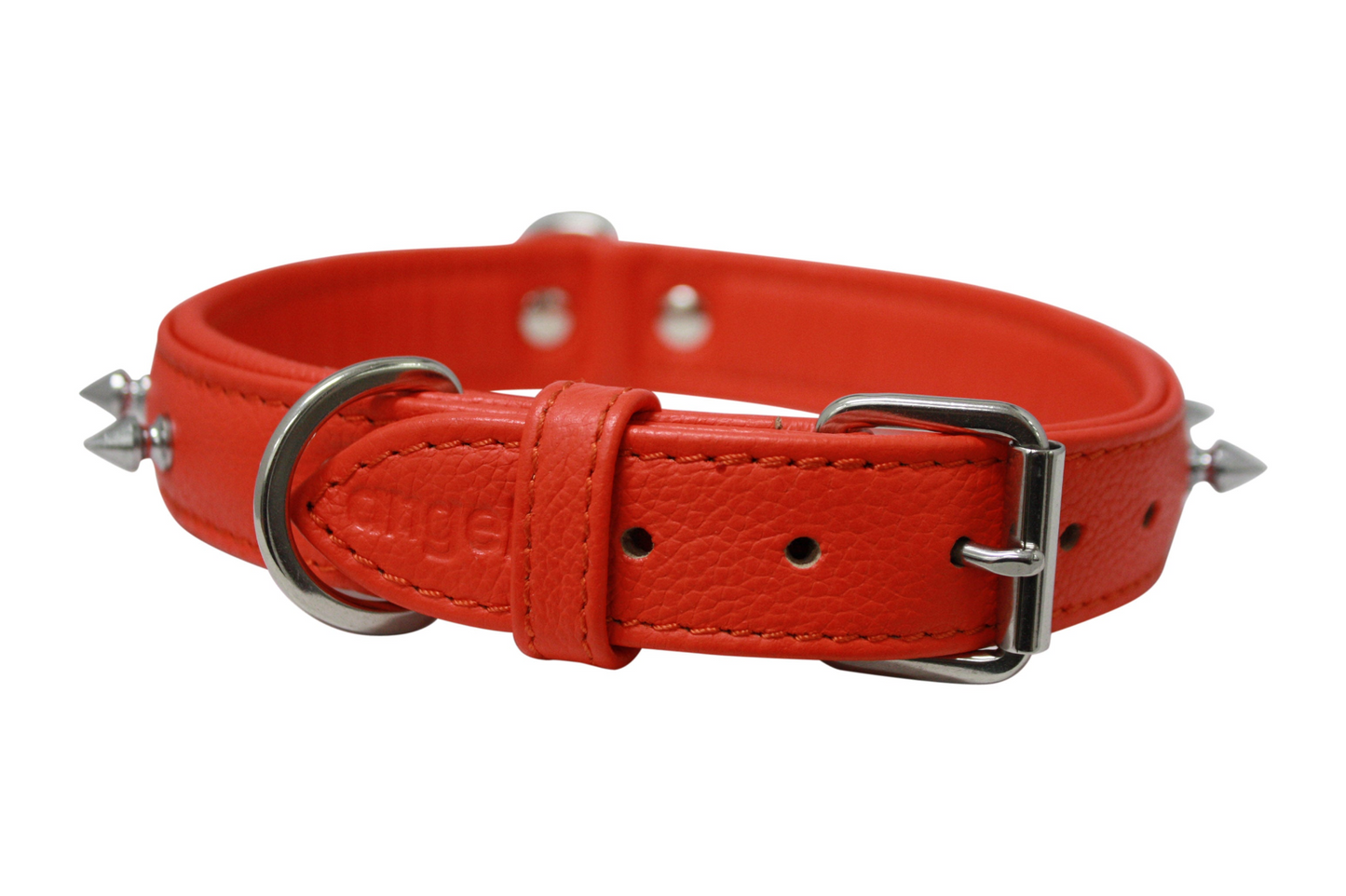 Rotterdam Spiked Dog Collar: Make a Bold Statement with Attitude