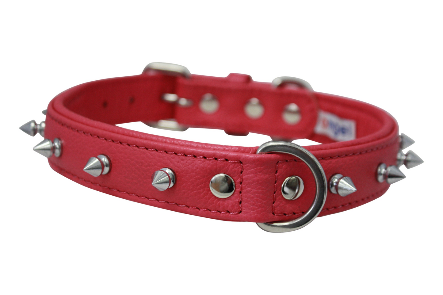 Rotterdam Spiked Dog Collar: Make a Bold Statement with Attitude