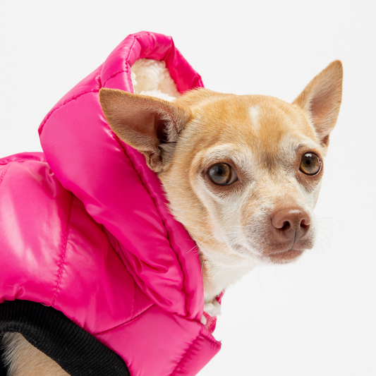 Chaqueta para perro Emma - Frambuesa